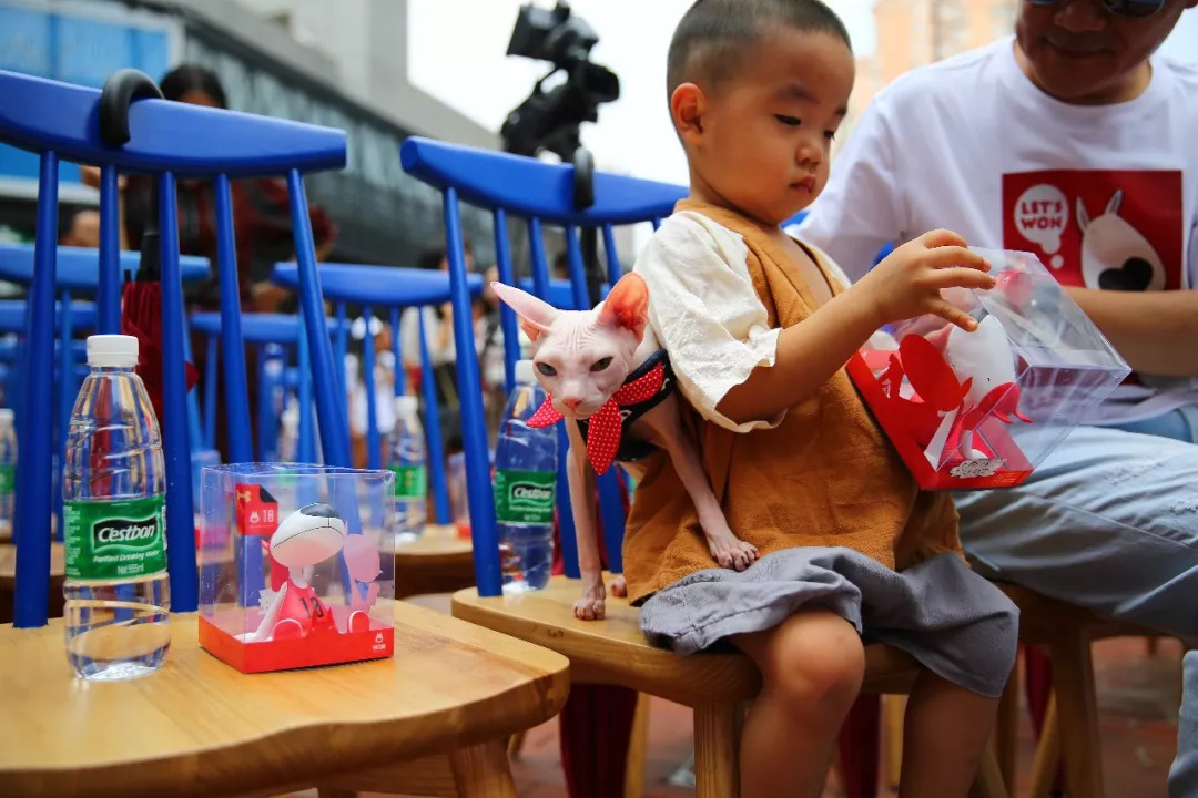 宠物街区,宠物街什么模式