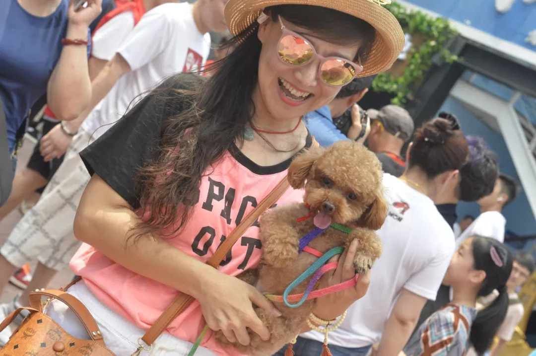 宠物街区,宠物街什么模式