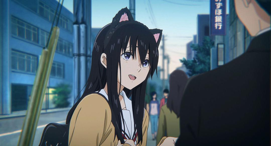 tvb和剧场版的区别,tvb动画剧场版