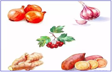 颈动脉脑血栓,颈动脉堵塞造成脑梗怎么预防