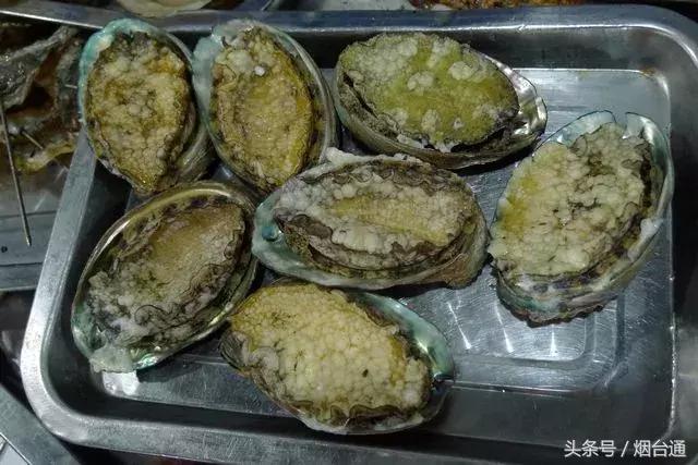 烟台开海现场直播视频,开海现场视频直播