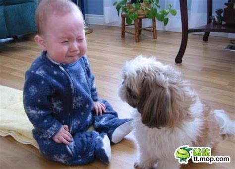 5岁的孩子说不清楚话怎么办,6岁孩子不听家长话怎么办