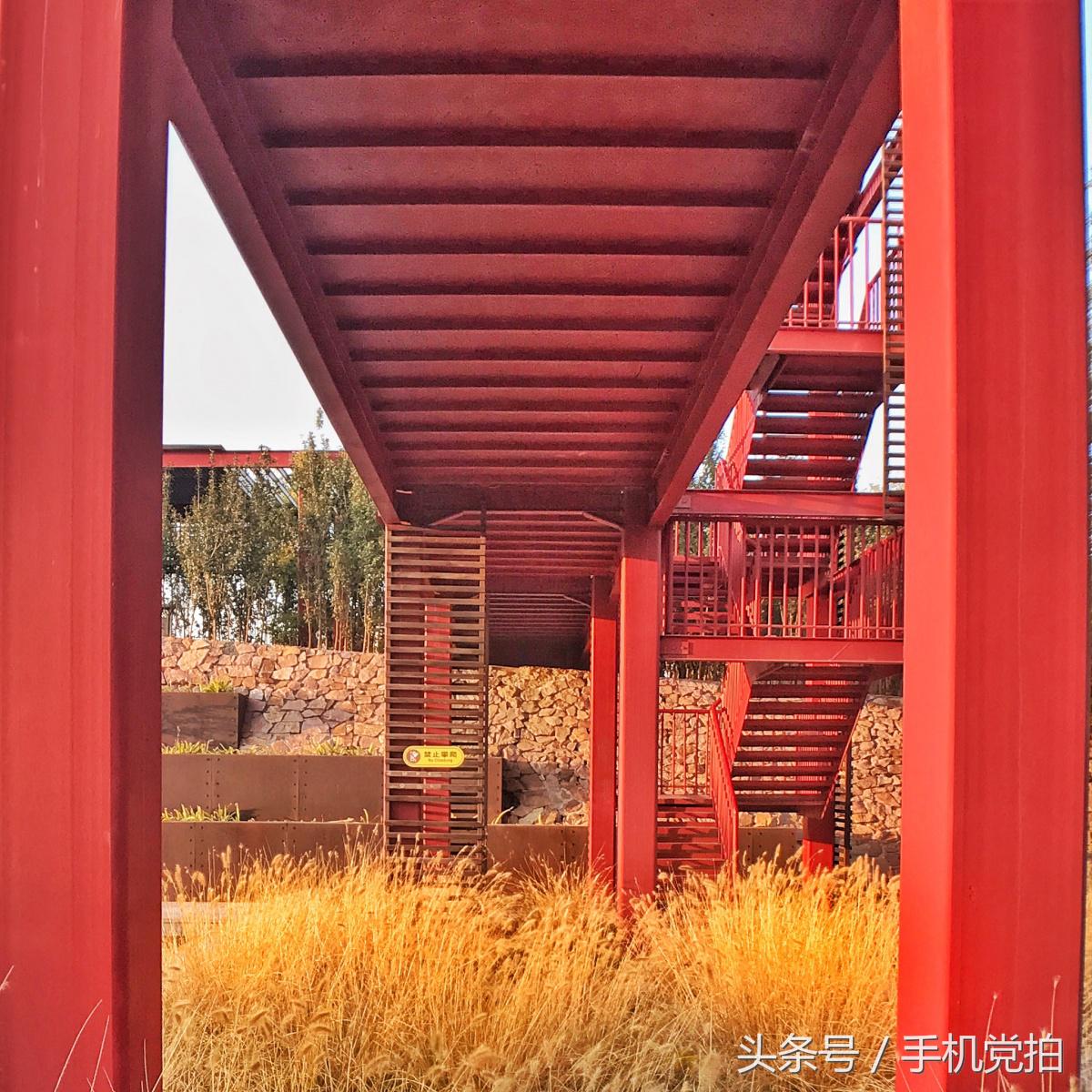 一座桥的20种拍法|教你一招提升“手机摄影观察力”