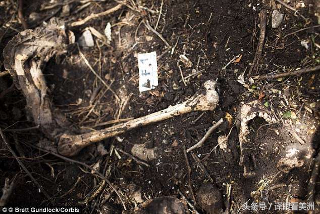 墨西哥43名学生遇害后续,墨西哥45名学生遇害一事