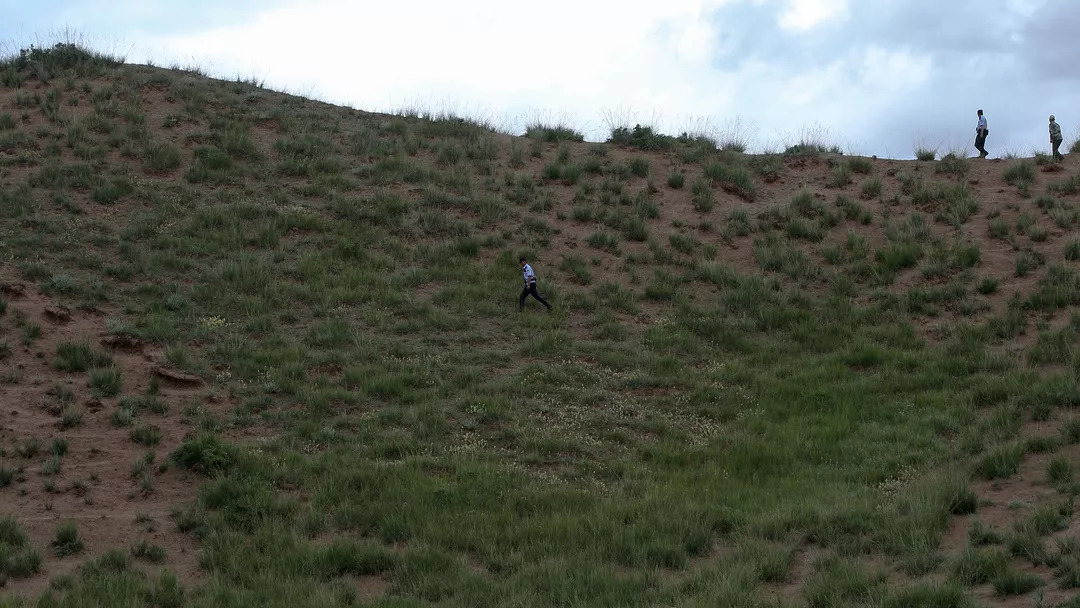 守护“九层妖楼”的宁静