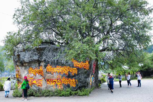 九月份的江南风景,四月的江南风景