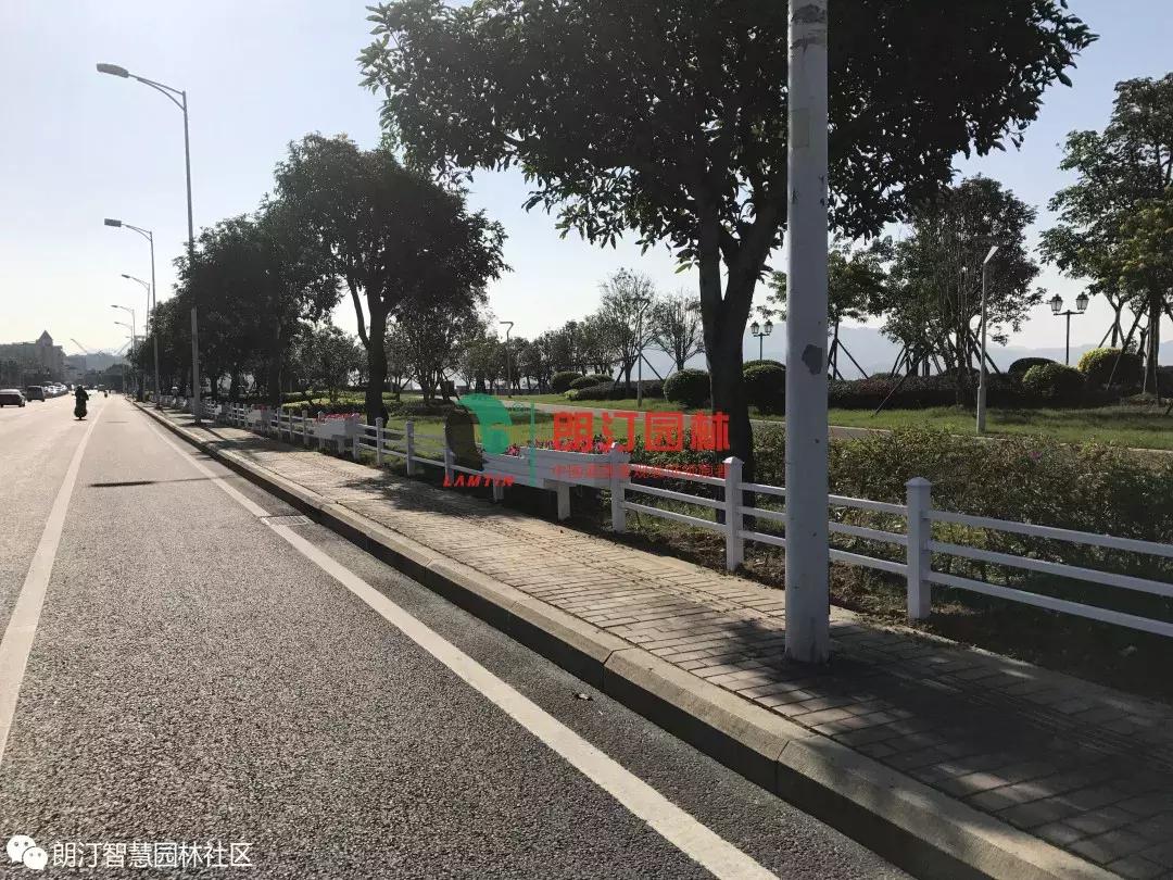福州马尾区道路景观提升，打造秀美闽江生态之城