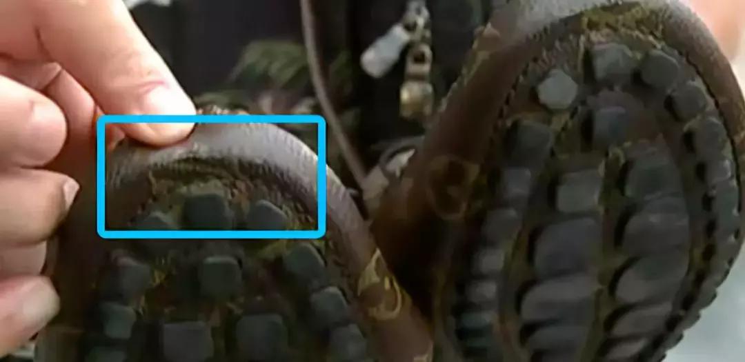 Valentino衬衣,五千多买一件衣服