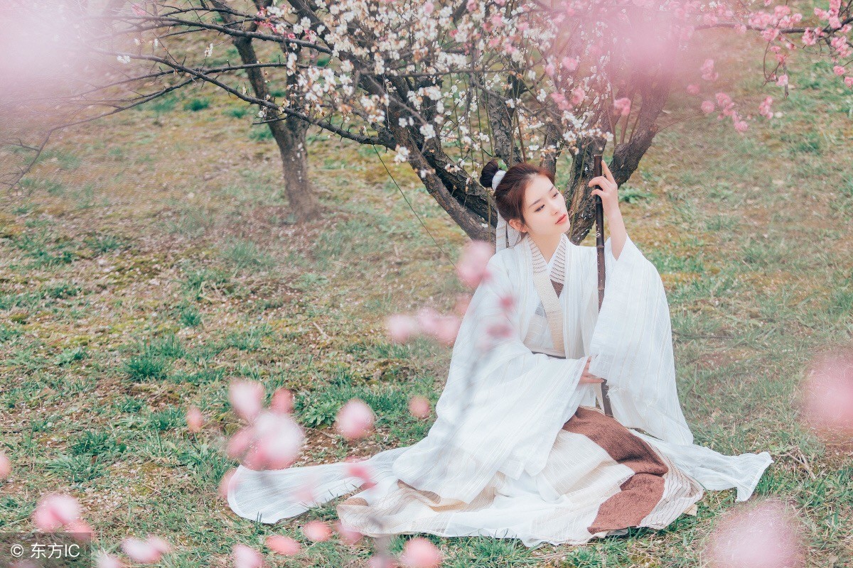 64个藏于古诗词中的成语,读过回味无穷(值得收藏)