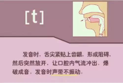 英语音标48个发音有趣教学视频,英语音标48个发音快速记忆