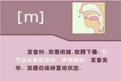 英语48个音标发音详细教程,英语48个音标的正确发音和技巧