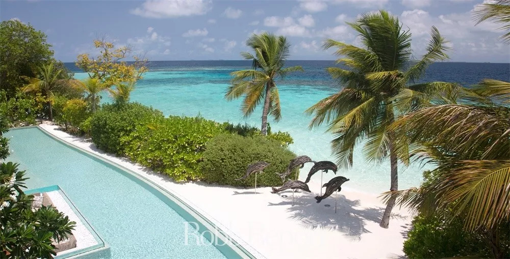 带你看世界的酒店,东方甄选看世界酒店