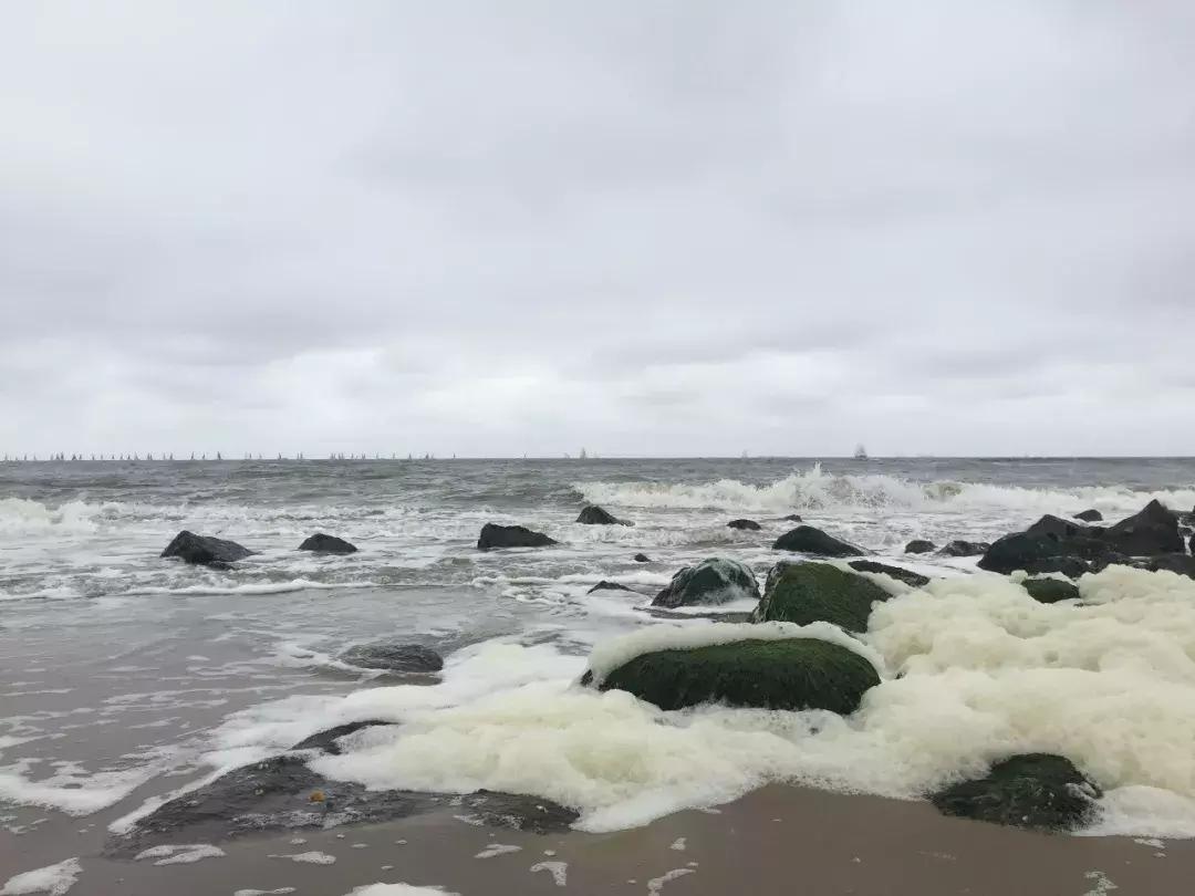 荷兰自由行旅游攻略大全,荷兰自由行三日游攻略