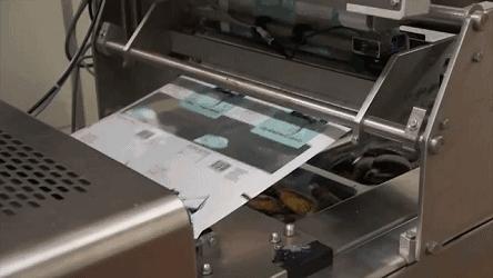 新西兰海边青口贝,新西兰赶海吃青口贝