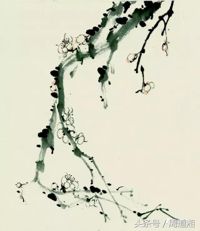 梅花花朵的国画画法视频,大写意梅花枝干国画画法