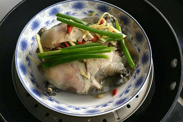 冬天甲鱼怎么样放才不死,这个季节甲鱼适合怎么吃