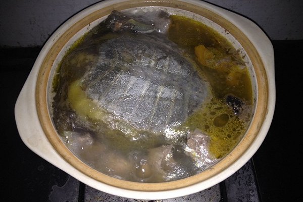 甲鱼最常见的几种做法,冬季甲鱼跟什么做才好