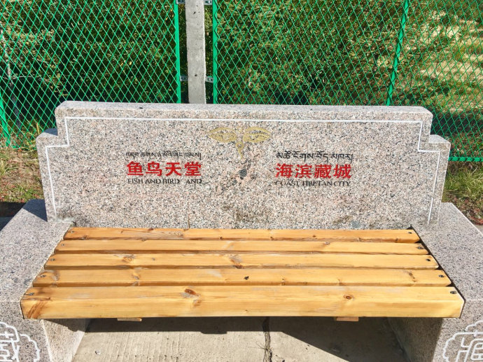 青海湖湟鱼水下视频,青海湖湟鱼洄游路线