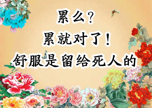 会动的照片大全,会动的11张图片