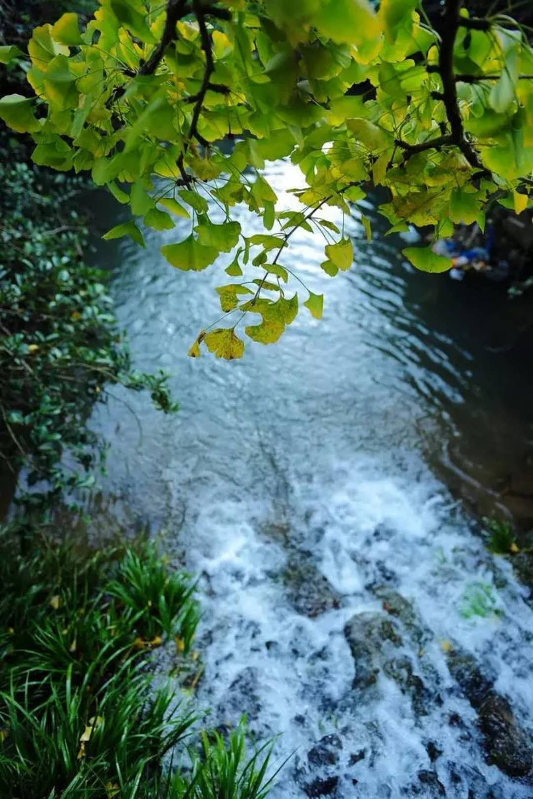 好的排毒胶囊,最好的排毒养颜药品