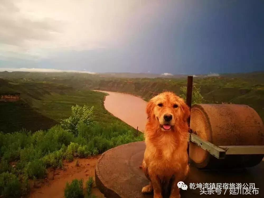 九月的碾畔民宿，红枣与你邂逅