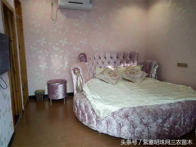 黄山旅游攻略黟县民宿景点,黄山宏村千岛湖西塘旅游攻略