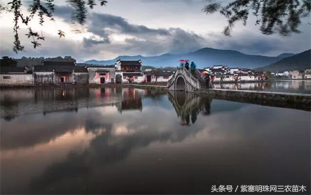 黄山旅游攻略黟县民宿景点,黄山宏村千岛湖西塘旅游攻略
