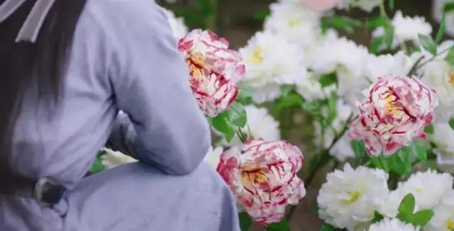 香蜜女孩们剧荒了吗,这部古装探案神剧等你来入坑