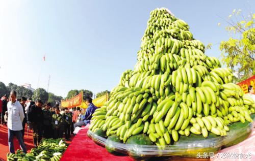 广西防城港特产有什么值得带,广西贵港特产大全排名前十名