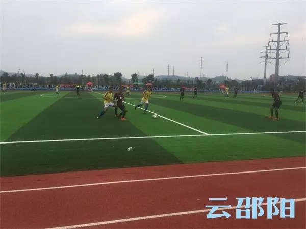 湖南省运会足球衡阳男足,省运会男子足球乙组成绩