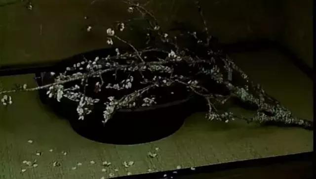 早期茶文化,中国茶文化与日本茶道的关系