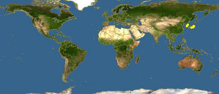 海边贝类种类,各种贝类的名称