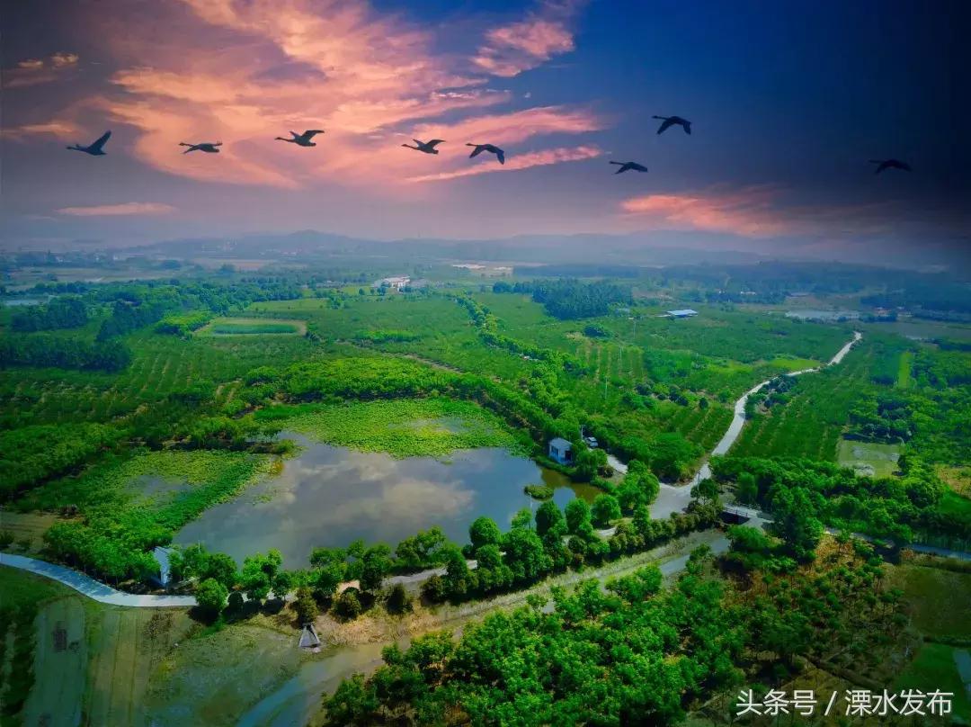 溧水农产品特产,舌尖上的南京特产