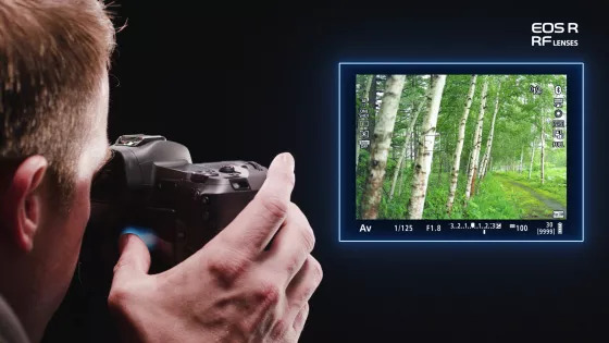 佳能eosr与r6有何区别,佳能eosr实操