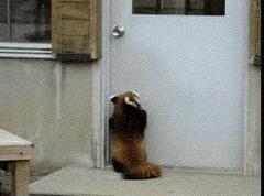 雪佛兰探界者可刷隐藏功能,雪佛兰探界者驰界版隐藏功能