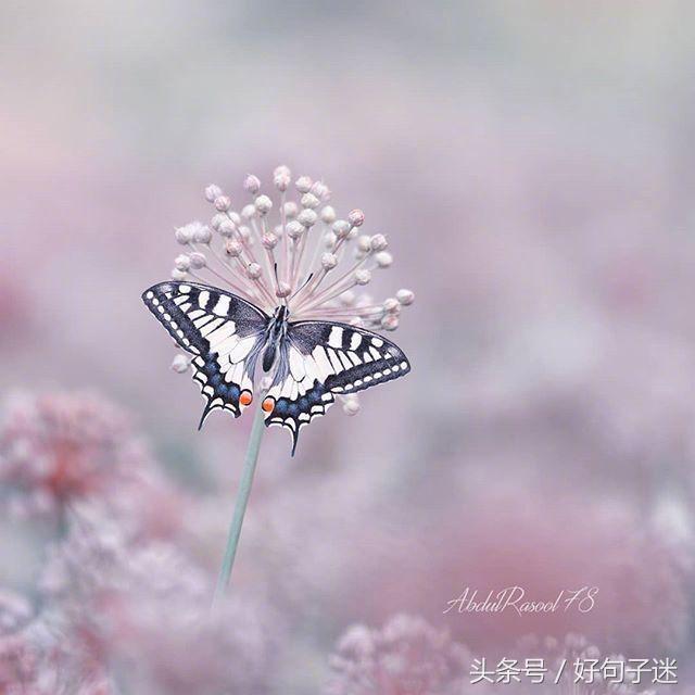 好听的qq个性签名大全,好听的qq个性签名英文