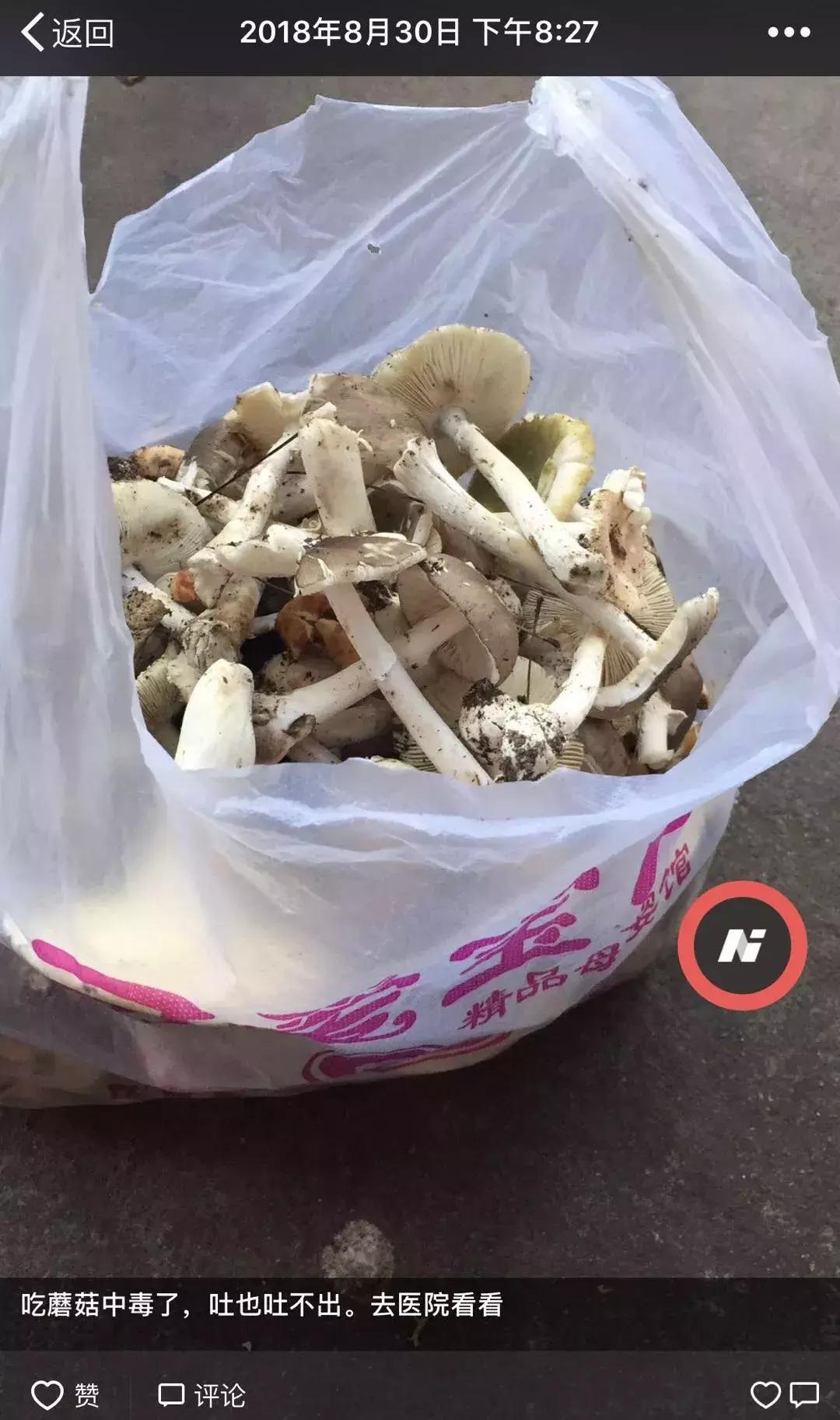 喝了碗汤，一家3口中毒！明明用土法验过毒，医生说真荒唐！