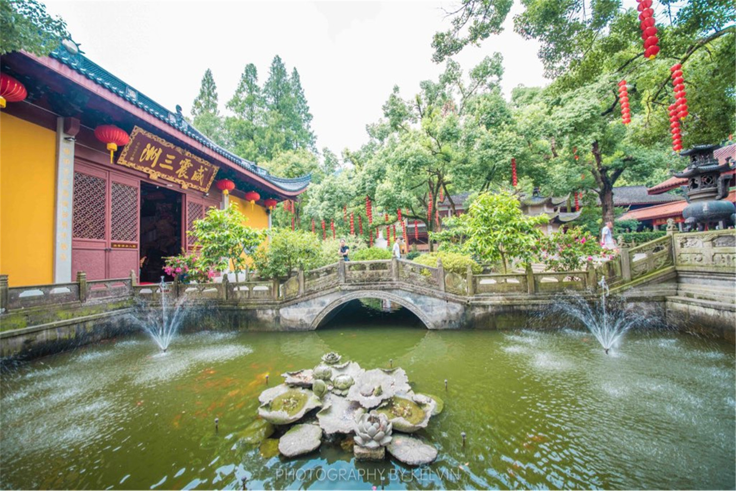 杭州西湖领略西湖之美,杭州西湖美景打卡