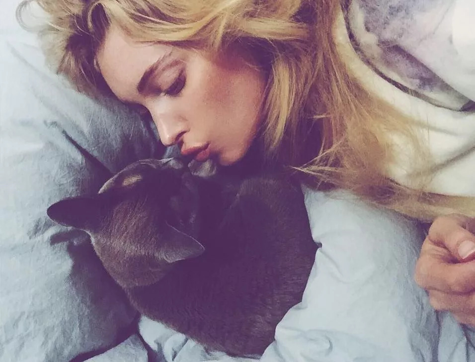 维密天使猫猫走秀,维密超模走秀猫咪