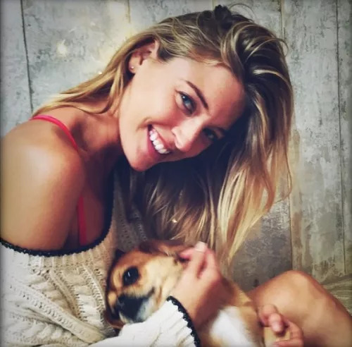 维密天使猫猫走秀,维密超模走秀猫咪