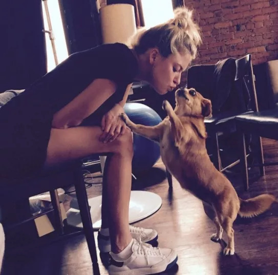 维密天使猫猫走秀,维密超模走秀猫咪