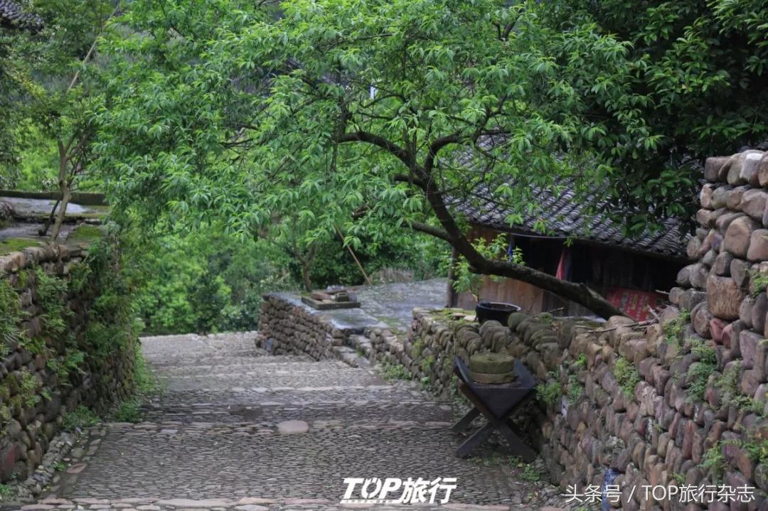 湘西芙蓉镇必去景点,湘西芙蓉镇旅游必看攻略