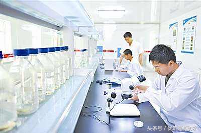 新型防水堵漏材料哪家好,防水堵漏哪种产品好