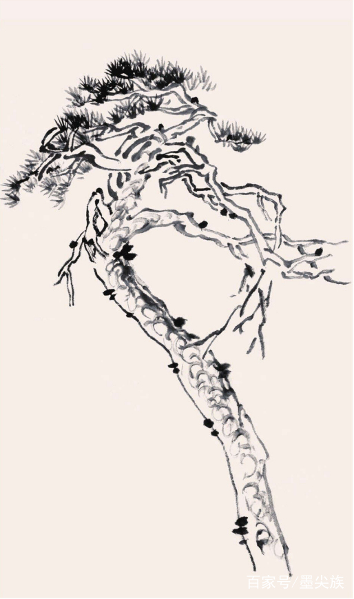 工笔松树简单画法步骤,松树的画法和技巧视频