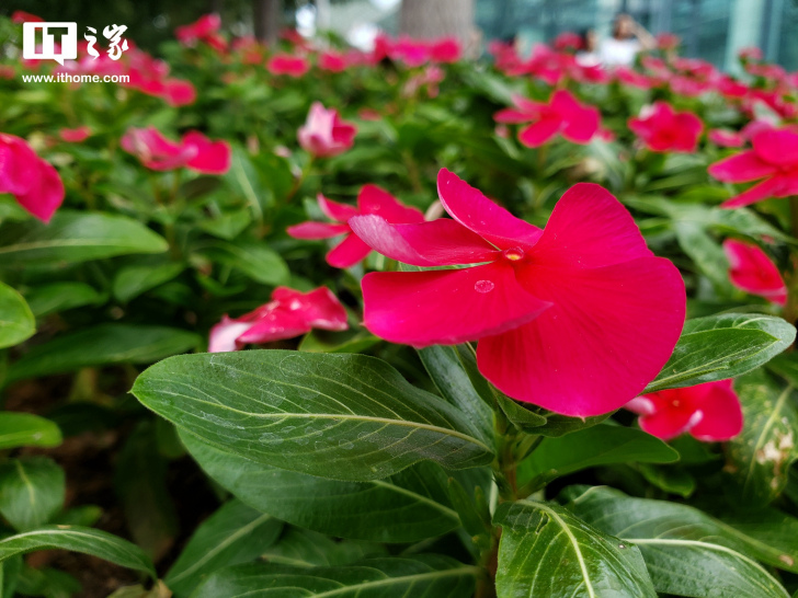 三星galaxynote9是旗舰机吗,三星galaxynote9全部参数