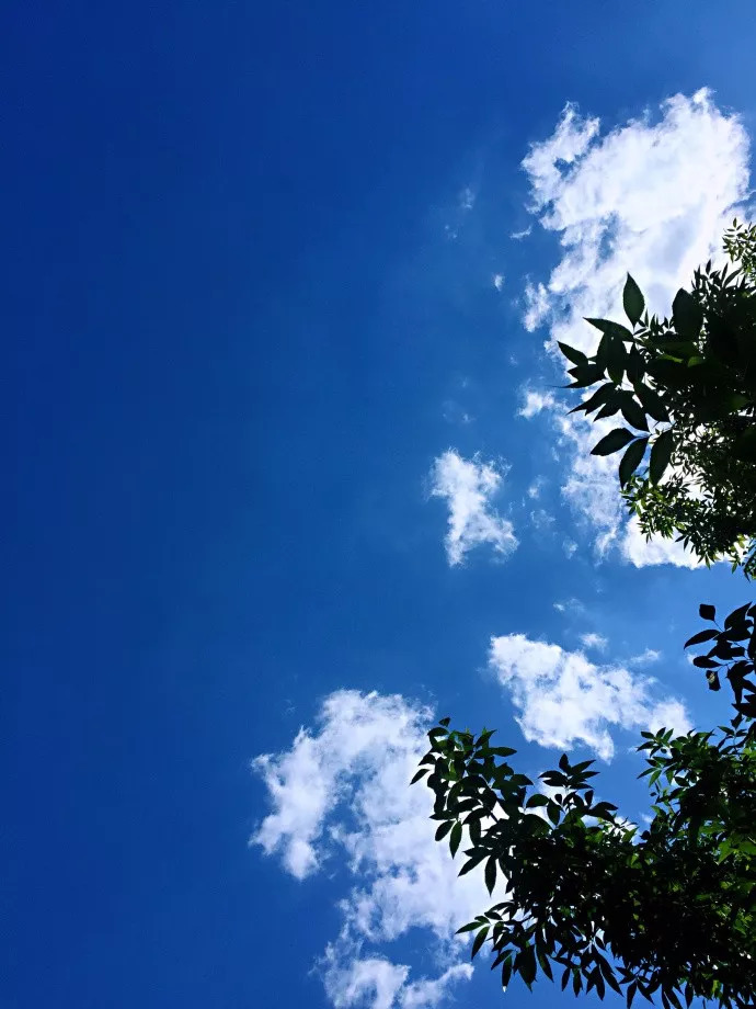 天津之美尽收眼底,天津美景朋友圈