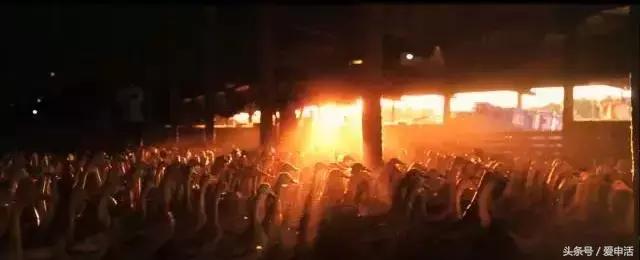 绫冲鏈堥ゼ绀肩洅绌虹洅,瑗垮畨绫虫棗鏈堥ゼ绀肩洅