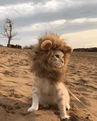 轻松一刻：这个不经意的小动作，可能毁了孩子一生