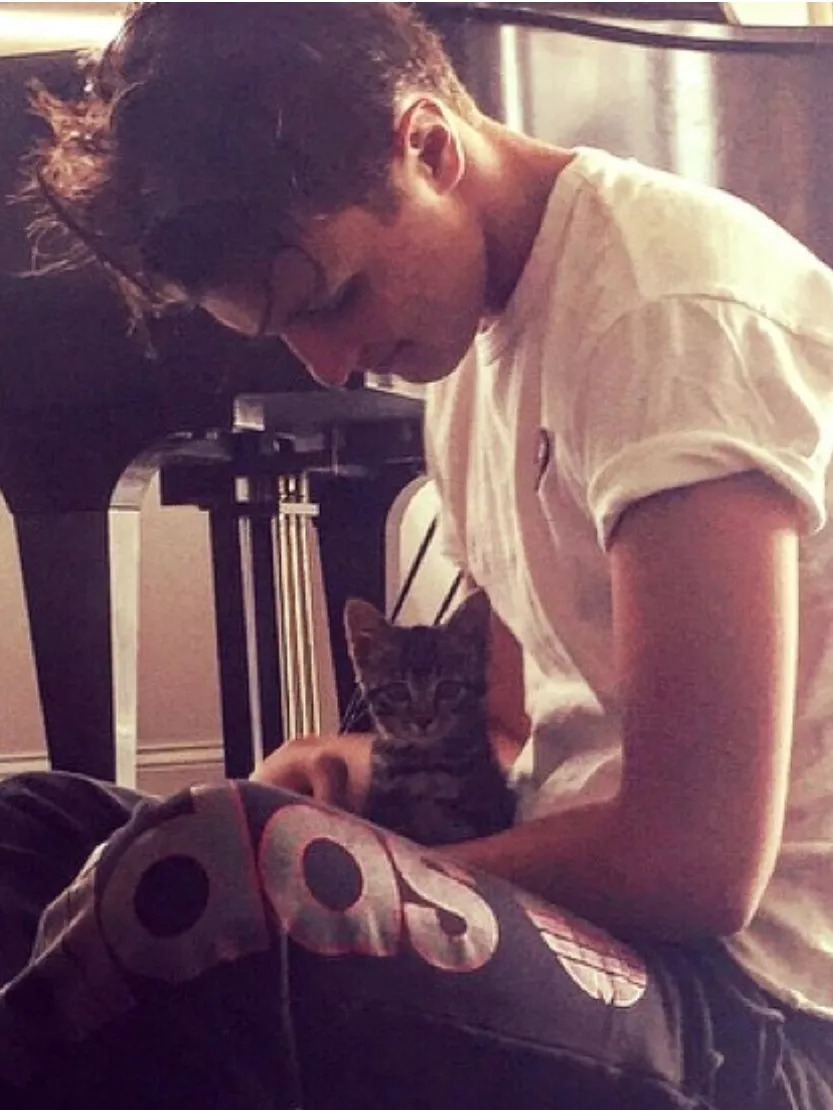 维密超模猫咪,维密秀猫咪