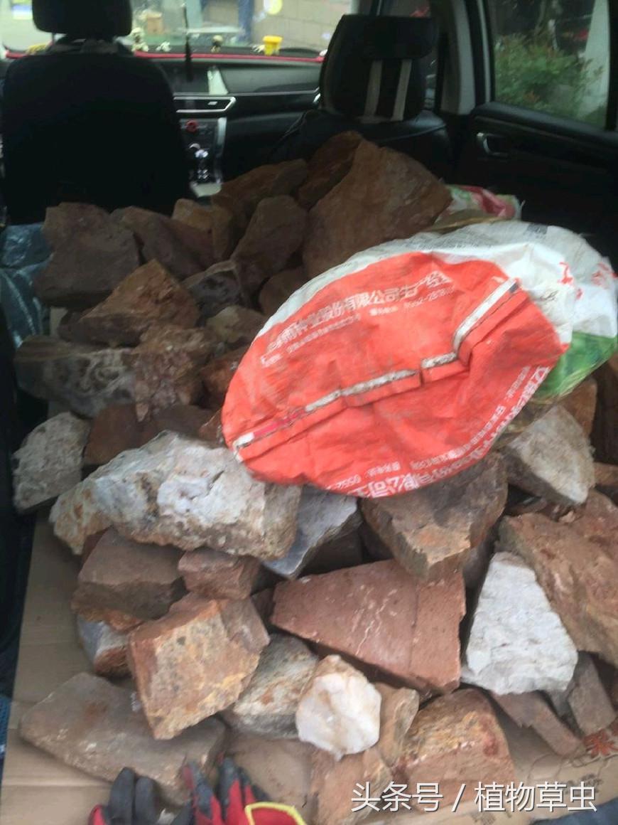 庭院景观鱼塘建造,庭院简单小鱼塘建造